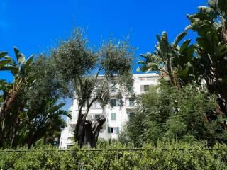 Trilocale ottimo stato, quarto piano, Centro, Bordighera — foto 13 di 37