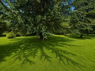Villa unifamiliare Strada Provinciale Cassia Cimina, Ronciglione — foto 23 di 38