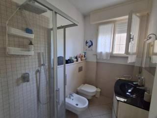 Bilocale via delle Agavi,  10, Tirrenia, Pisa