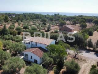 Casa colonica lungomare di Sa Curcurica, Cala Liberotto, Orosei — foto 10 di 16