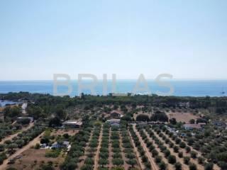 Casa colonica lungomare di Sa Curcurica, Cala Liberotto, Orosei — foto 13 di 16