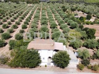 Casa colonica lungomare di Sa Curcurica, Cala Liberotto, Orosei — foto 15 di 16