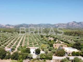 Casa colonica lungomare di Sa Curcurica, Cala Liberotto, Orosei — foto 14 di 16