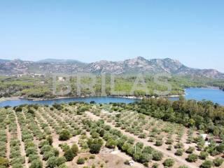 Casa colonica lungomare di Sa Curcurica, Cala Liberotto, Orosei — foto 5 di 16