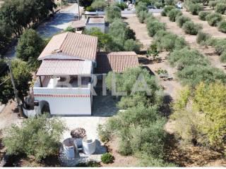 Casa colonica lungomare di Sa Curcurica, Cala Liberotto, Orosei — foto 16 di 16