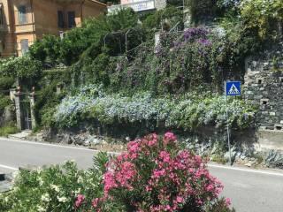 Appartamento via Parodi 4, Centro, Levanto — foto 7 di 16