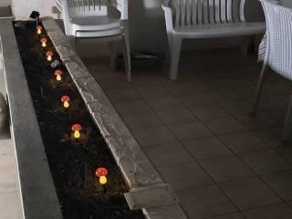 Quadrilocale piano terra, Pozzallo — foto 4 di 13