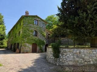 Appartamento via del molino, Centro, Ficulle — foto 23 di 28