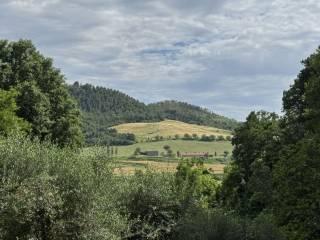 Bilocale via terni, Centro, Fabro — foto 20 di 23