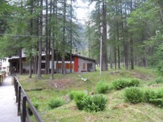 Bilocale centro Abitato Pecetto, Staffa, Macugnaga — foto 9 di 9