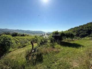 Rustico Località Bosco, Illasi — foto 4 di 28
