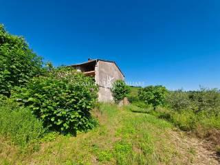 Rustico Località Bosco, Illasi — foto 19 di 28