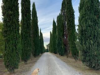 Appartamento in villa Strada delle Badesse 6, Monteriggioni — foto 5 di 9