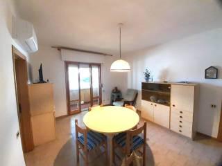 Trilocale buono stato, primo piano, Marina di Cecina, Cecina — foto 18 di 18