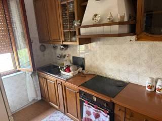 Appartamento via Don Luigi Sturzo 20/a, Guasticce, Collesalvetti