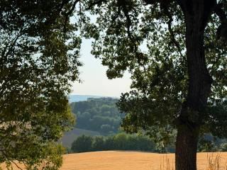 Quadrilocale Località Selvarelle Alte, Acquasparta — foto 16 di 16