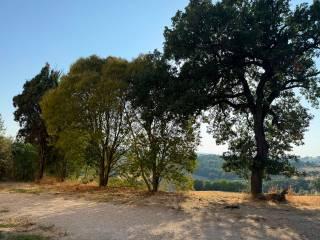 Quadrilocale Località Selvarelle Alte, Acquasparta — foto 4 di 16