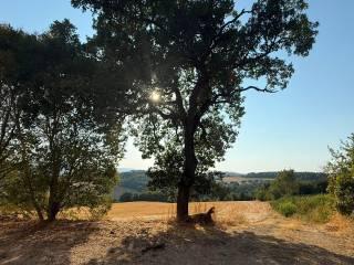 Quadrilocale Località Selvarelle Alte, Acquasparta — foto 2 di 16