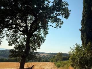 Quadrilocale Località Selvarelle Alte, Acquasparta — foto 8 di 16