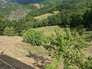 Villa unifamiliare Località Oppio, Borgo Val di Taro — foto 28 di 32