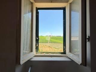 Rustico Contrada Colle Maggio 25, Penne — foto 11 di 23