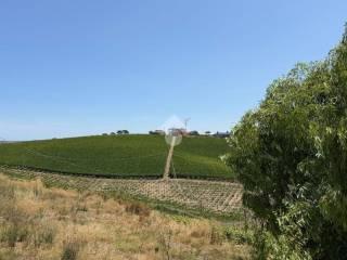 Rustico Contrada Colle Maggio 25, Penne — foto 3 di 23