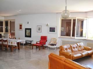 Appartamento viale Federico Brandani, Centro, Urbino — foto 2 di 29
