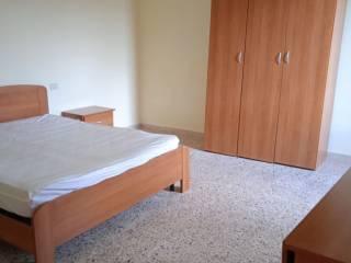 Trilocale Strada Provinciale Morolense, Morolo Scalo, Morolo — foto 19 di 21
