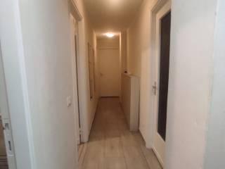 Stanza singola via Michelangelo 52, Pisa