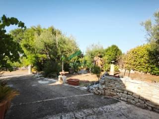 Casale Contrada Terranova, Monopoli — foto 16 di 33