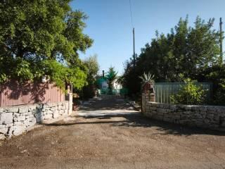 Casale Contrada Terranova, Monopoli — foto 31 di 33