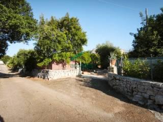 Casale Contrada Terranova, Monopoli — foto 10 di 33