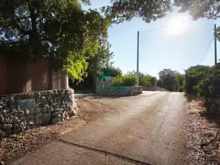 Casale Contrada Terranova, Monopoli — foto 19 di 33
