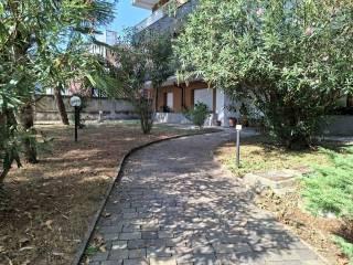 Stanza singola viale Don Giovanni Minzoni 23, Castellanza
