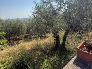 Villa bifamiliare Contrada Festola, Festola, Montemiletto — foto 39 di 52