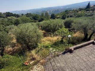 Villa bifamiliare Contrada Festola, Festola, Montemiletto — foto 6 di 52