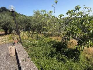 Villa bifamiliare Contrada Festola, Festola, Montemiletto — foto 12 di 52