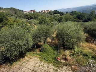 Villa bifamiliare Contrada Festola, Festola, Montemiletto — foto 25 di 52