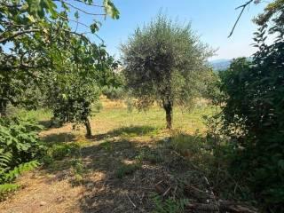 Villa bifamiliare Contrada Festola, Festola, Montemiletto — foto 29 di 52