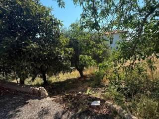 Villa bifamiliare Contrada Festola, Festola, Montemiletto — foto 31 di 52