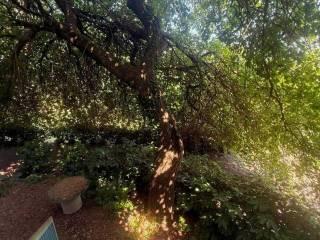 Villa bifamiliare Contrada Festola, Festola, Montemiletto — foto 21 di 52