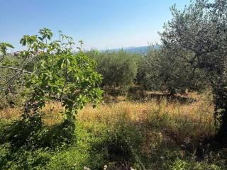 Villa bifamiliare Contrada Festola, Festola, Montemiletto — foto 33 di 52