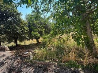 Villa bifamiliare Contrada Festola, Festola, Montemiletto — foto 47 di 52