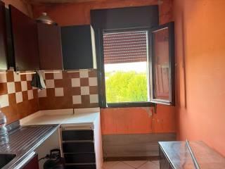 Villa unifamiliare via Arioste 1151, Centro, Bagnolo di Po — foto 8 di 14