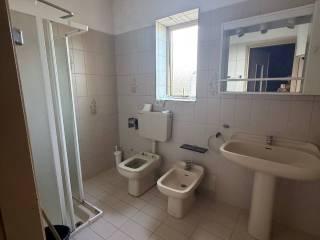 Villa unifamiliare via Arioste 1151, Centro, Bagnolo di Po — foto 3 di 14