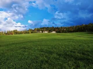 Rustico, da ristrutturare, 282 m², Valmozzola — foto 2 di 4