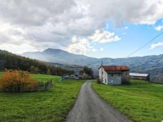 Rustico, da ristrutturare, 282 m², Valmozzola — foto 3 di 4