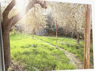 Appartamento in villa via Cegoli, Poggetto, Poggio a Caiano — foto 9 di 15
