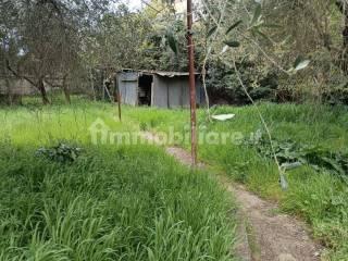 Appartamento in villa via Cegoli, Poggetto, Poggio a Caiano — foto 5 di 15