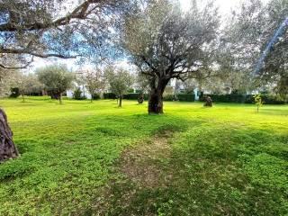 Trilocale Località Taverna, Sant'Andrea Apostolo dello Ionio — foto 13 di 18